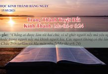 Trung Thành Tuyệt Đối – 15/5/2021