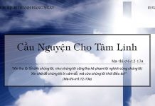 Cầu Nguyện Cho Tâm Linh – 7/2/2022