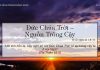 Đức Chúa Trời – Nguồn Trông Cậy – 25/3/2022