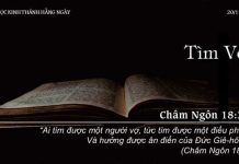 Tìm Vợ – 20/11/2022