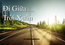 Đi Giữa Trời Xuân