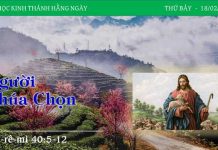 Người Chúa Chọn – 18/2/2023