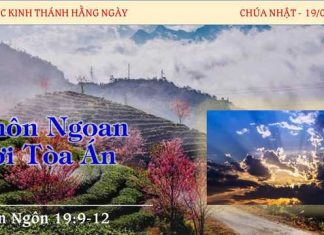 Khôn Ngoan Nơi Tòa Án – 19/2/2023