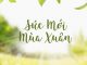 Thơ: Sức Mới Mùa Xuân
