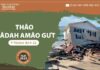 Thâo Ƀiădah Amâo Gưt – 18/5/2023