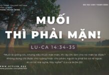 Muối Thì Phải… Mặn! – 5/1/2024