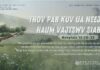 Thov Pab Kuv Ua Neej Haum Vajtswv Siab – 17/8/2024