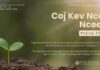 Coj Kev Ncaj Ncees – 27/10/2024