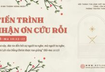 Tiến Trình Nhận Ơn Cứu Rỗi – 12/12/2024