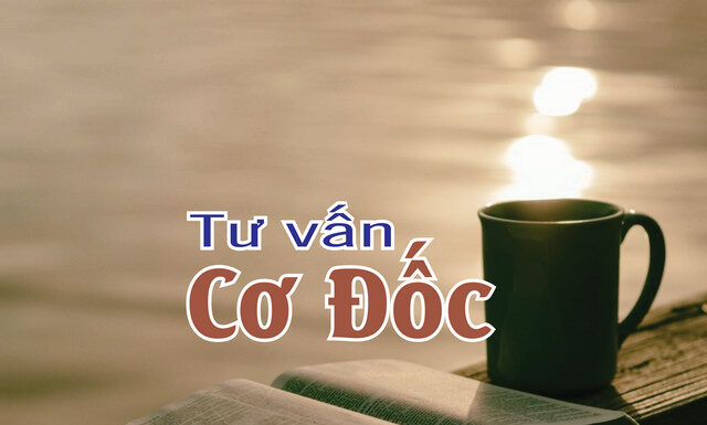 TƯ VẤN CƠ ĐỐC: CHƯƠNG 11 – VIỆC NUÔI DẠY CON CÁI VÀ SỰ HƯỚNG DẪN CỦA CHA MẸ (phần 2)