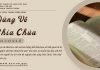 Đứng Về Phía Chúa – 27/5/2025