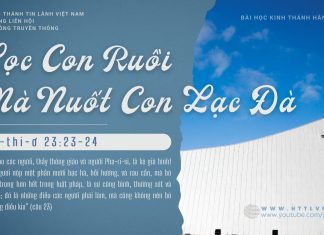 Lọc Con Ruồi Mà Nuốt Con Lạc Đà – 16/1/2026