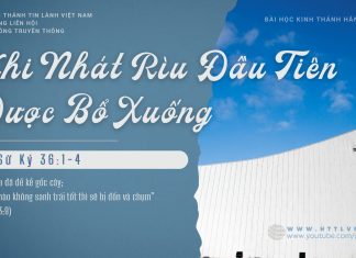Khi Nhát Rìu Đầu Tiên Được Bổ Xuống – 27/1/2026