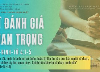 Sự Đánh Giá Quan Trọng – 11/3/2026