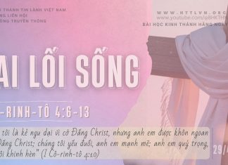 Hai Lối Sống – 29/4/2026