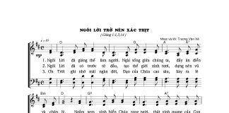 Bài hát Giáng Sinh: NGÔI LỜI TRỞ NÊN XÁC THỊT